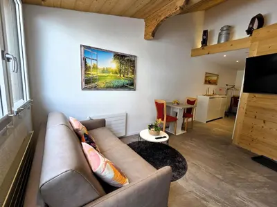 TV/Unterhaltungsangebot in der Unterkunft Apartment Lilo-Studio by Interhome