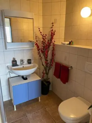 Ein Badezimmer in der Unterkunft Studio der Alpen