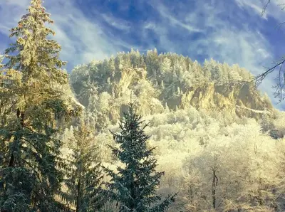 Naturlandschaft in der Nähe des Hostels