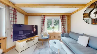 TV/Unterhaltungsangebot in der Unterkunft Cosy apartment surrounded by nature in Varen - Salgesch region