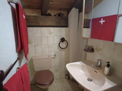 Ein Badezimmer in der Unterkunft Ferienwohnung Interlaken/Wilderswil