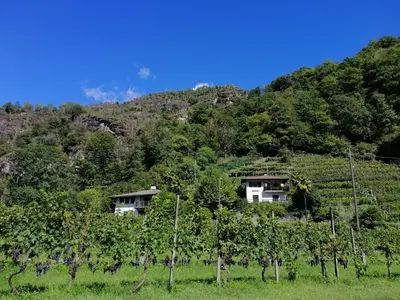 Naturlandschaft in der Nähe der Ferienwohnung
