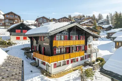 Schwarzbueb im Winter