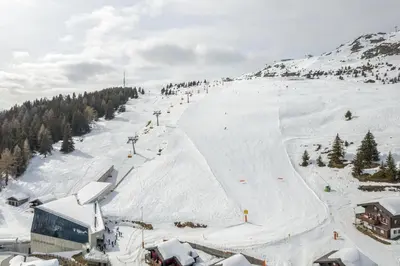 Schwarzbueb im Winter
