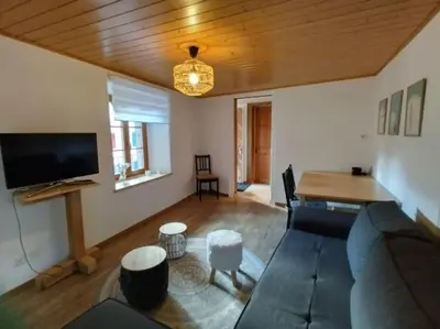 TV/Unterhaltungsangebot in der Unterkunft Centre Ville Appartement