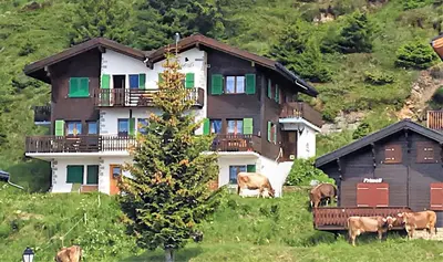 Naturlandschaft in der Nähe der Ferienwohnung