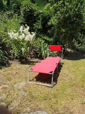 Ein Garten an der Unterkunft 
