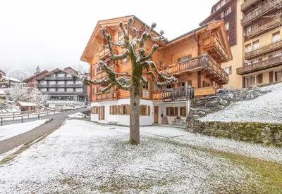 Chalet Alpina im Winter