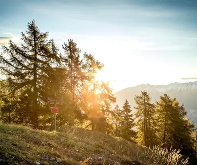 Naturlandschaft in der Nähe der Ferienwohnung