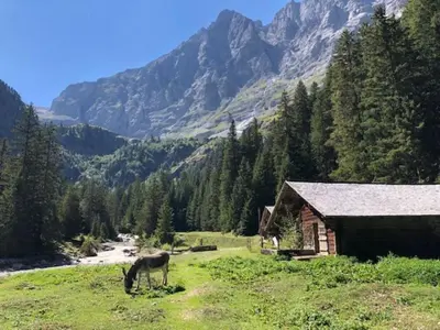 Naturlandschaft in der Nähe der Ferienwohnung