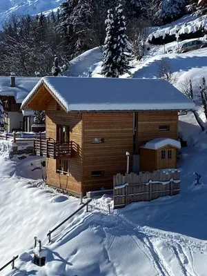 Chalet , Thyon Les Collons, 4 Vallées im Winter