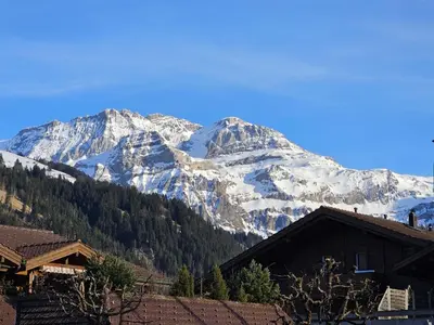 Ein allgemeiner Bergblick oder ein Berglick von der Ferienwohnung aus