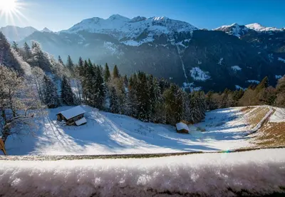 Naturlandschaft in der Nähe des Chalets