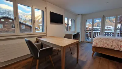 TV/Unterhaltungsangebot in der Unterkunft Studio direkt an der Langlaufloipe