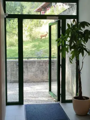 Ein Garten an der Unterkunft Center, Sauna, View - Haus LINARIA