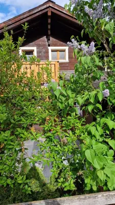 Ein Garten an der Unterkunft Chalet-Daheim-Fiesch 3,5-Zimmerwohnung