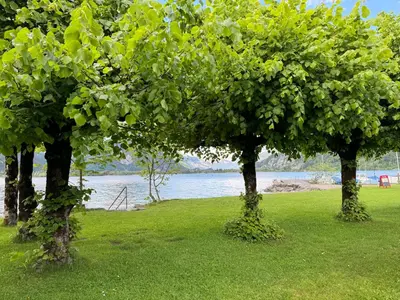 Naturlandschaft in der Nähe der Pension