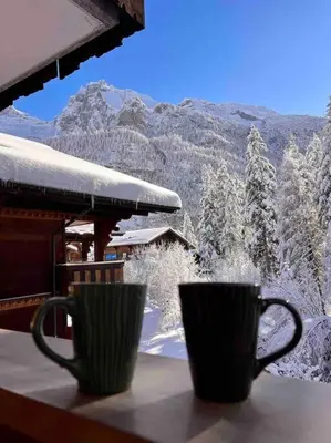 Ein allgemeiner Bergblick oder ein Berglick von der Ferienwohnung aus