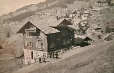 Ein allgemeiner Bergblick oder ein Berglick von der Ferienwohnung aus