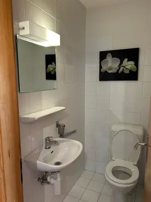 Ein Badezimmer in der Unterkunft Fontanettaz V 015 - MOUNTAIN apartment 6 pers